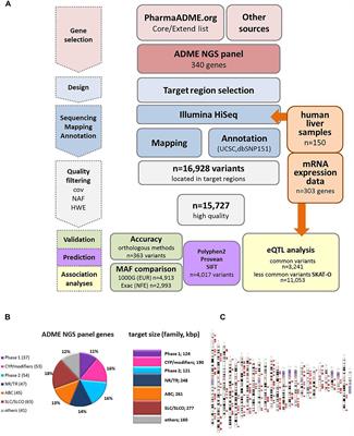 A New Panel-Based Next-Generation Sequencing Method for ADME Genes Reveals Novel Associations of Common and Rare Variants With Expression in a Human Liver Cohort